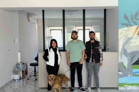 Çayırova ’da 70 sokak hayvanı yeni yuvalarına kavuştu