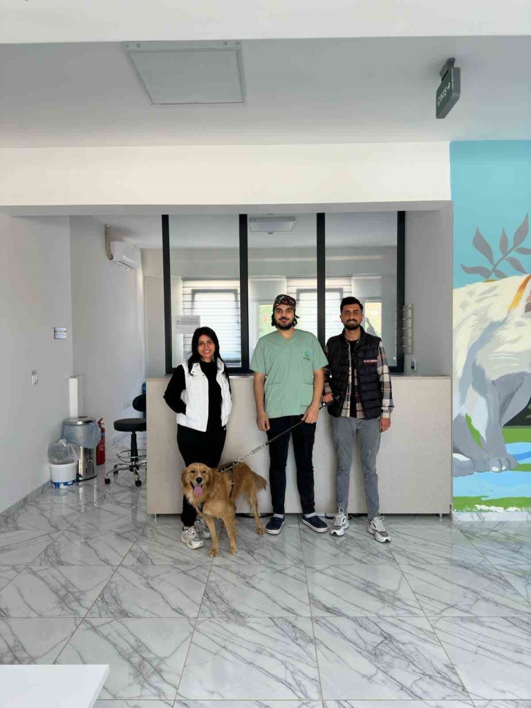 Çayırova ’da 70 sokak hayvanı yeni yuvalarına kavuştu