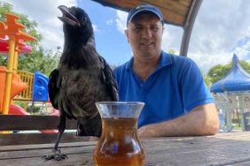 Karga, Rize çayı dışında bir şey içmiyor