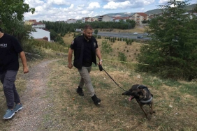 Kayıp kadın aranırken çürümüş ceset bulundu