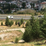 Kayıp kadın aranırken çürümüş ceset bulundu