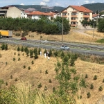 Kayıp kadın aranırken çürümüş ceset bulundu