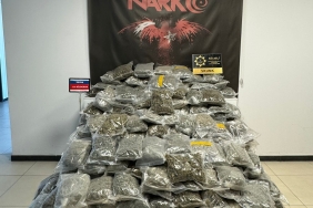 Kuzey Marmara ’da büyük uyuşturucu operasyonu: 116 kilo skunk bakın nereden çıktı