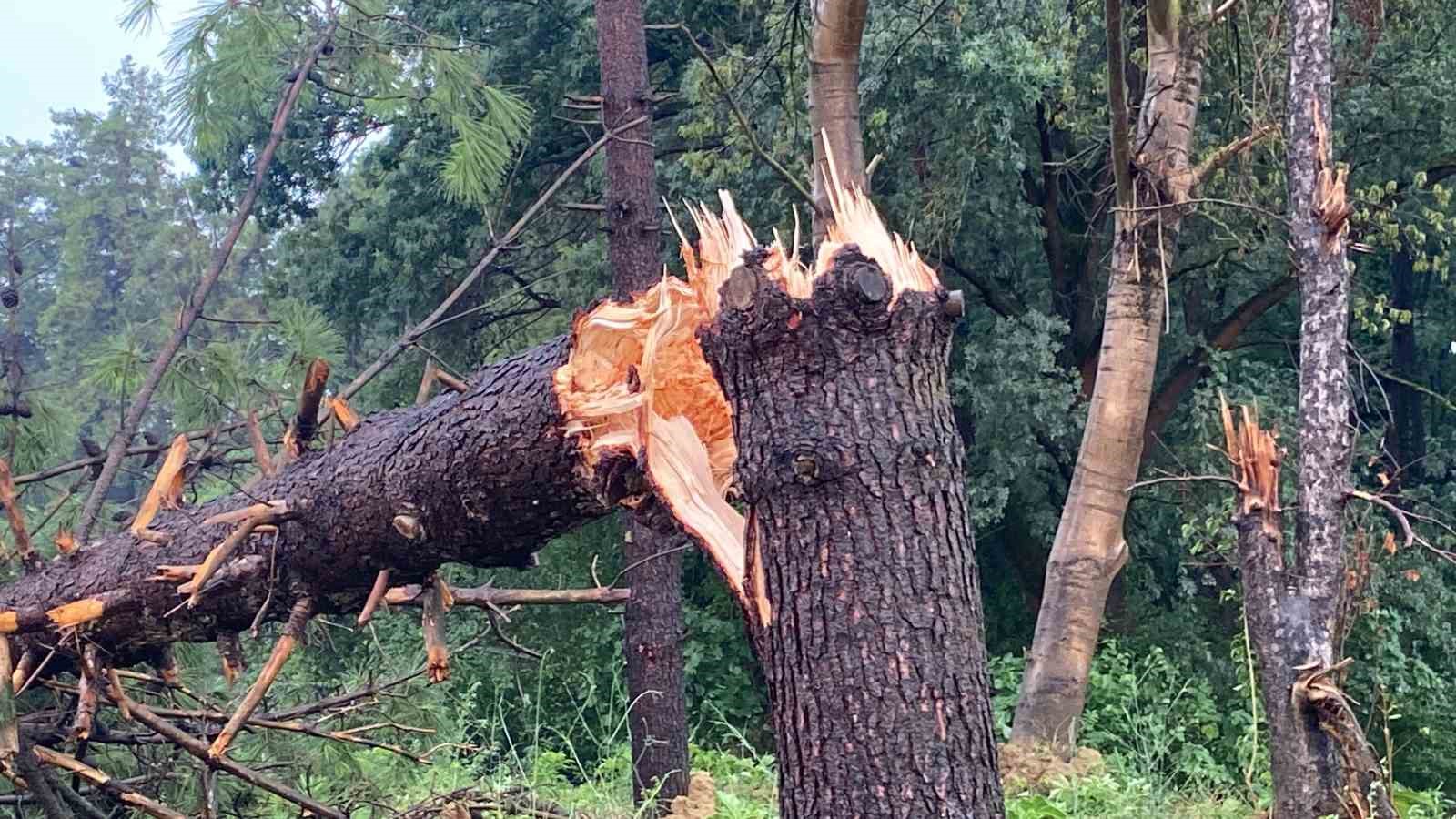 Nemin bunalttığı Kocaeli ’de sağanak etkili oldu