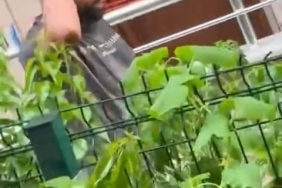 Yağmur sonrası köprü şelaleye döndü, çocuklar böyle eğlendi