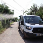 Yaz aylarında ilaçlama seferberliği