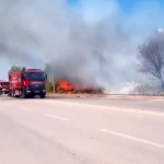 Ağaçlık alanda çıkan yangın itfaiye tarafından söndürüldü