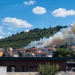 Ağaçlık alanda çıkan yangında itfaiye eri kaplumbağayı yanmaktan böyle kurtardı