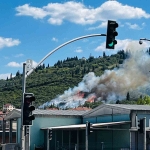 Ağaçlık alanda çıkan yangında itfaiye eri kaplumbağayı yanmaktan böyle kurtardı