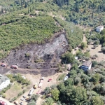 Ağaçlık alanda çıkan yangında itfaiye eri kaplumbağayı yanmaktan böyle kurtardı