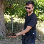Ağaçlık alanda çıkan yangında itfaiye eri kaplumbağayı yanmaktan böyle kurtardı