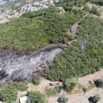 Ağaçlık alanda çıkan yangında itfaiye eri kaplumbağayı yanmaktan böyle kurtardı