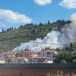 Ağaçlık alanda çıkan yangında itfaiye eri kaplumbağayı yanmaktan böyle kurtardı