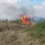 Anız yangını korkuttu