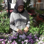 Bu yaz evleri ve gönülleri en çok renklendiren çiçekler