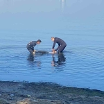 Denizde erkek cesedi bulundu