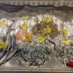 En çok tüketilen balık sardalya oldu