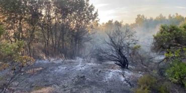 Gebze’de ormanlık alanda yangın çıktı