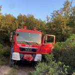 Gebze’de ormanlık alanda yangın çıktı