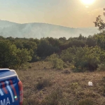 Gebze’de ormanlık alanda yangın çıktı