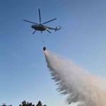 Gebze’de ormanlık alanda yangın çıktı