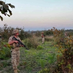 Hasat zamanı hırsızlara göz açtırılmıyor, komando birlikleri gece gündüz nöbet tutuyor
