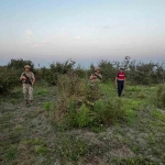 Hasat zamanı hırsızlara göz açtırılmıyor, komando birlikleri gece gündüz nöbet tutuyor