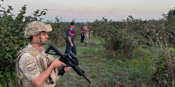 Hasat zamanı hırsızlara göz açtırılmıyor, komando birlikleri gece gündüz nöbet tutuyor