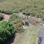 Hasat zamanı hırsızlara göz açtırılmıyor, komando birlikleri gece gündüz nöbet tutuyor