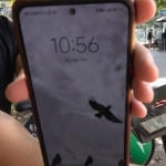 Hem şarj hem deşarj oluyorlar