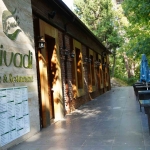 İçeride müşteri varken restoranı mühürlediler