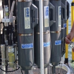 İzmit Körfezi’nde deniz ekosistemi hayat buluyor