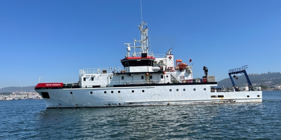 İzmit Körfezi’nde deniz ekosistemi hayat buluyor