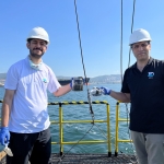 İzmit Körfezi’nde deniz ekosistemi hayat buluyor