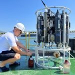 İzmit Körfezi’nde deniz ekosistemi hayat buluyor