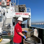 İzmit Körfezi’nde deniz ekosistemi hayat buluyor