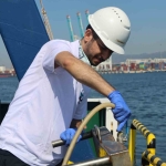 İzmit Körfezi’nde deniz ekosistemi hayat buluyor