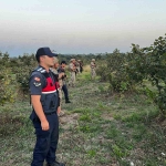 Jandarma fındık hırsızlarına karşı nöbette