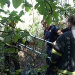 Kısaltmak için girdikleri yol kabusları oluyordu