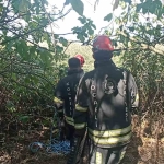 Kısaltmak için girdikleri yol kabusları oluyordu
