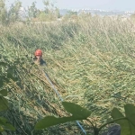 Kısaltmak için girdikleri yol kabusları oluyordu