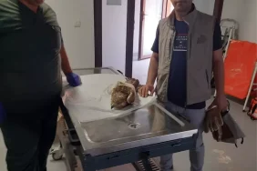 kocaelide-yarali-halde-bulunan-kizil-sahin-tedavi-altina-alindi-WgkO6ZId.jpg
