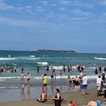 KOSKEM 163 kişiyi yeniden hayata bağladı