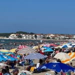 KOSKEM 163 kişiyi yeniden hayata bağladı