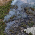 Tünelin üstündeki ağaçlık alanda yangın çıktı