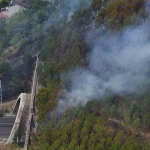 Tünelin üstündeki ağaçlık alanda yangın çıktı