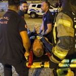 Yürüyen merdivenden kafenin çatısına düştü