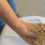 Çuval çuval kaçak tütün ele geçirildi