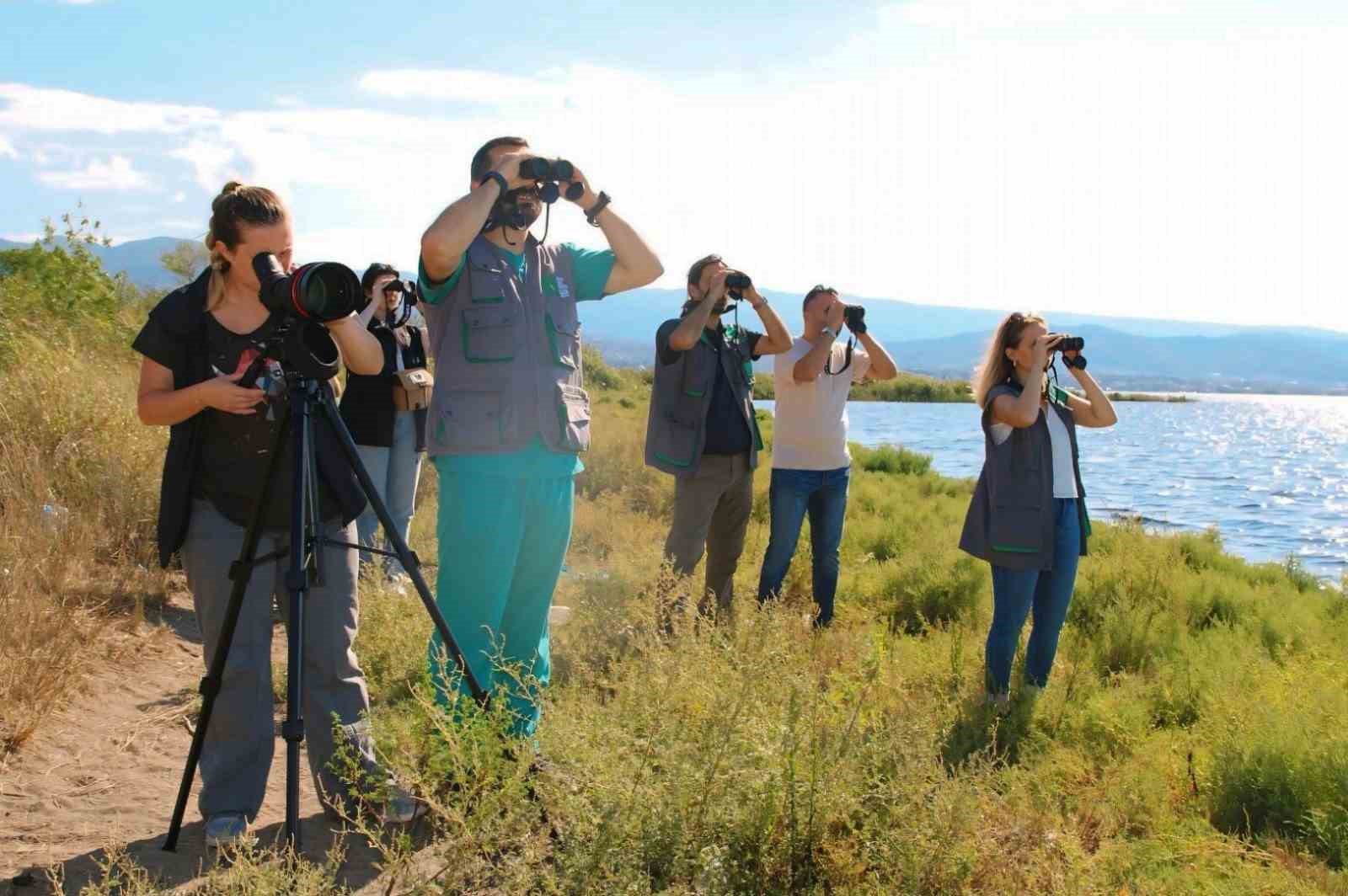 İzmi̇t Körfezi̇ndeki̇ Flami̇ngo Sayısında Artış Gözlendi̇
