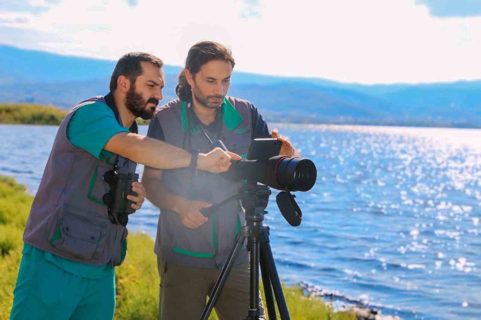 İzmi̇t Körfezi̇ndeki̇ Flami̇ngo Sayısında Artış Gözlendi̇